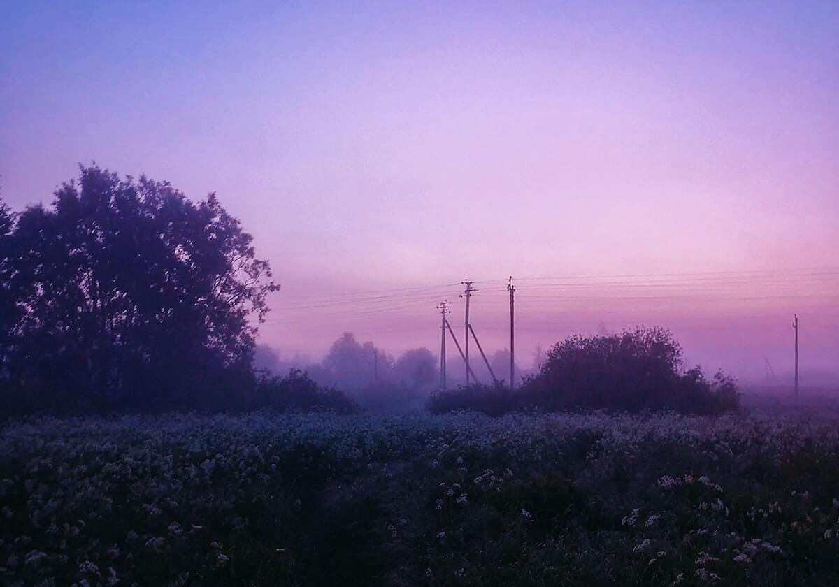 樊振东空砍2分，德甲主场爆冷！对手52岁主帅亲自上场，赛后秒变迷弟求合影！